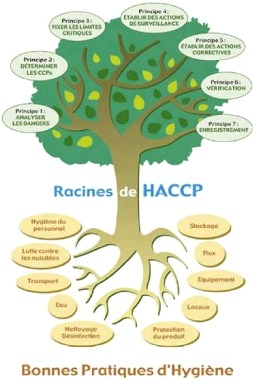 Sécurité des Aliments ISO 22000 / HACCP